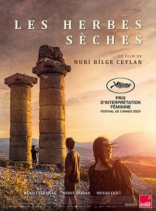 Les Herbes sèches de Nuri Bilge Ceylan